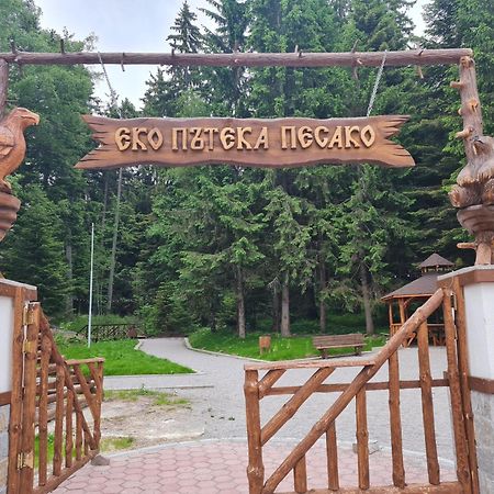 Mountain Paradise In Aparthotel Borovets Gardens Exteriör bild