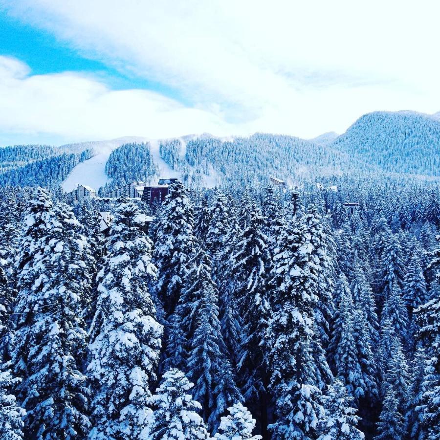 Mountain Paradise In Aparthotel Borovets Gardens Exteriör bild